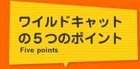 ワイルドキャットの５つのポイント Five points